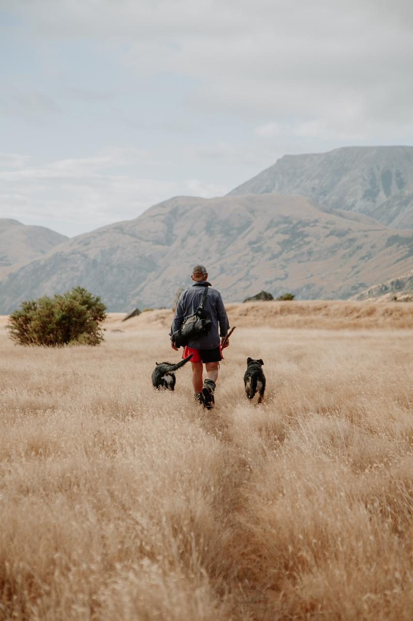 Private - High-Country Farm Tour and Arthurs Pass National Park Adventure - Photo 1 of 13